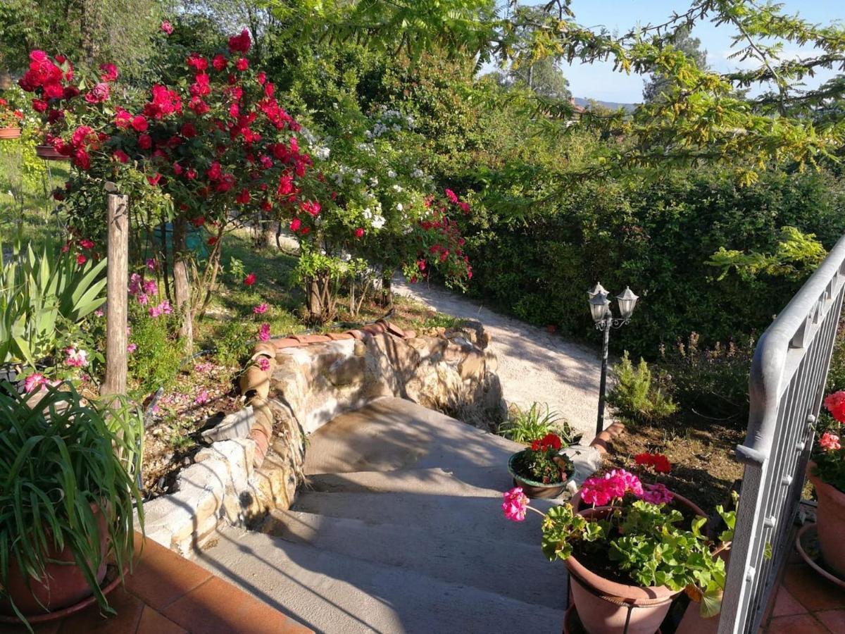 La Rosa Dei Venti Villa Monterotondo  Exteriör bild