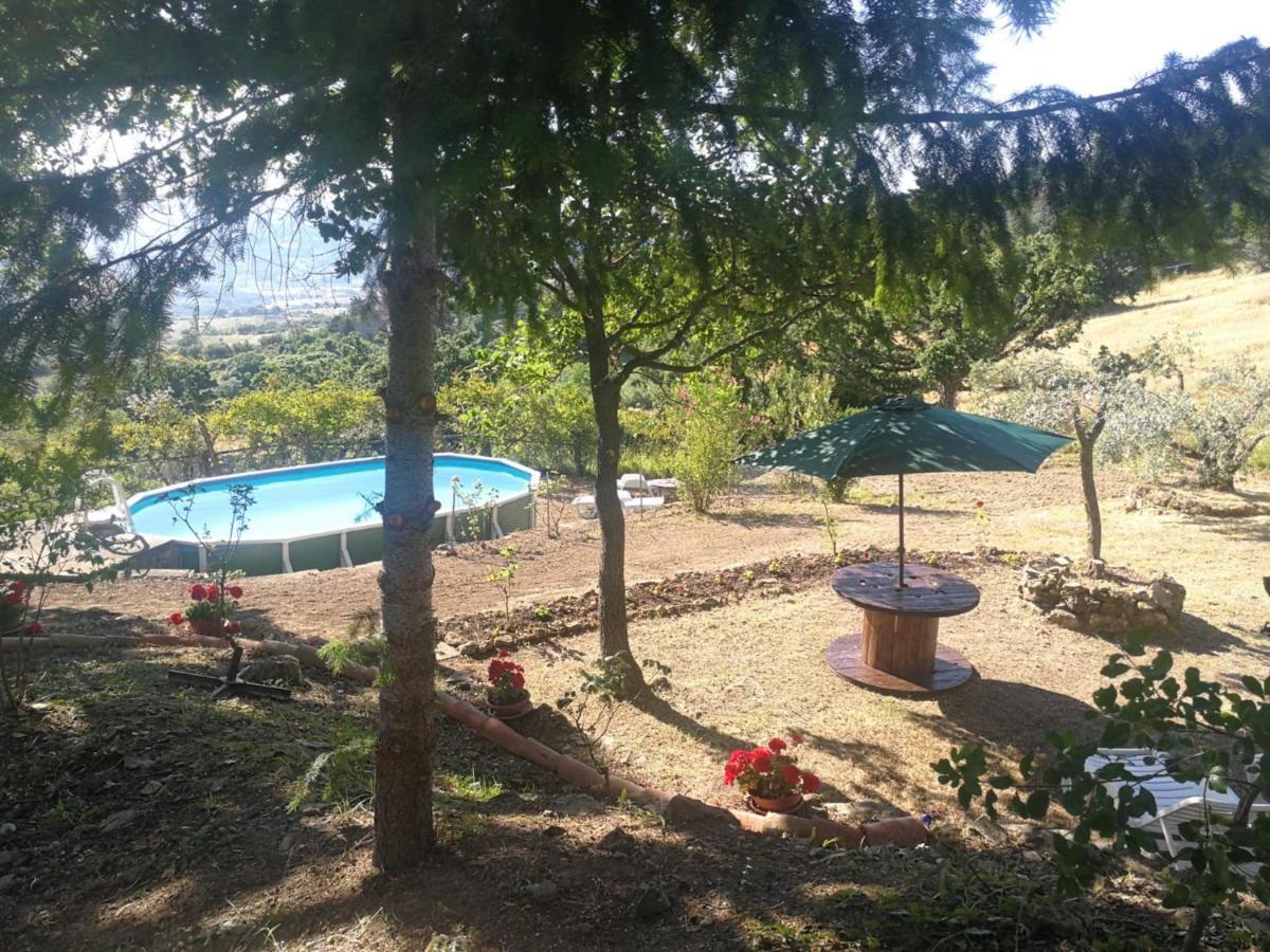La Rosa Dei Venti Villa Monterotondo  Exteriör bild